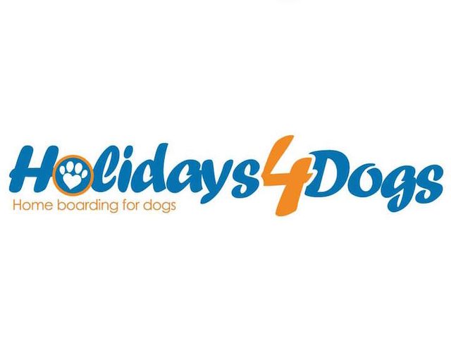 Holidays 4 Dogs logo